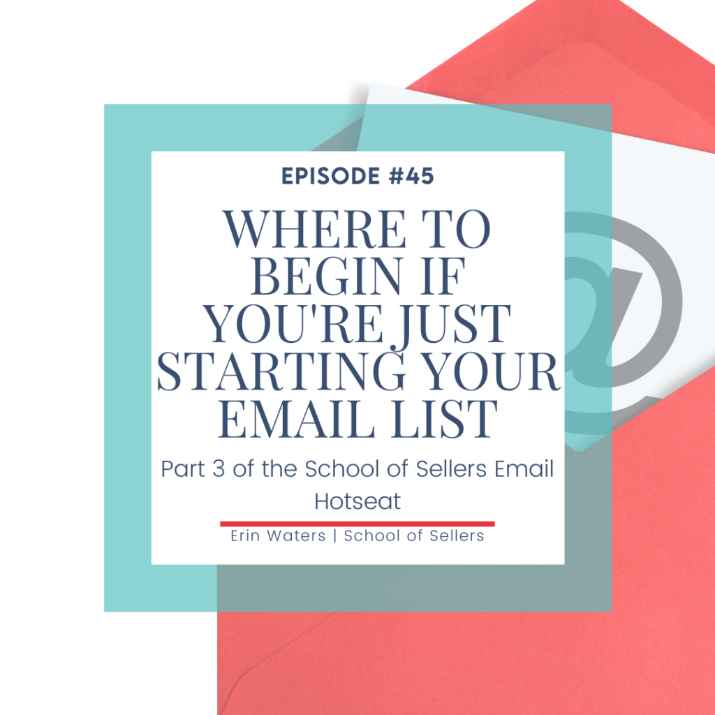 Where to Begin If You're Just Starting Your Email List - Part 3 of the School of Sellers Email Hot Seat