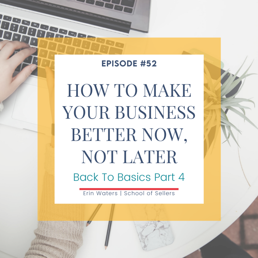 Episode #52 How to Make Your TpT Business Better Now, Not Later Back to Basics Part 4 Erin Waters School of Sellers